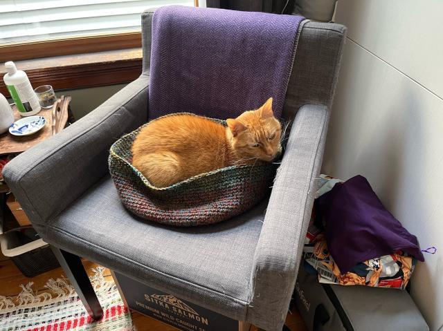 A striped orange cat snoozes in a hand crocheted “bowl” made from alpaca and wool yard 