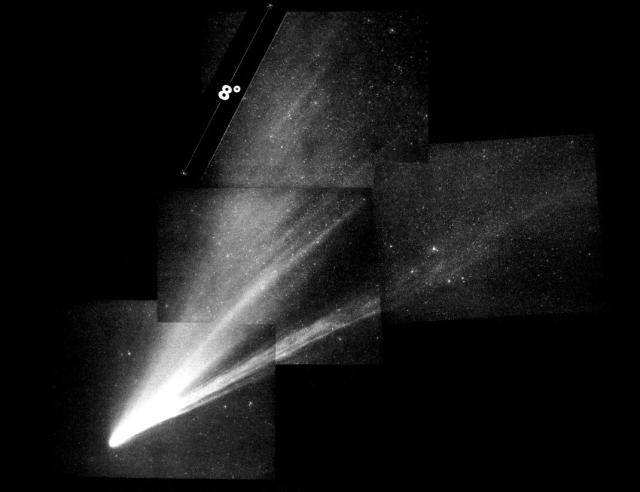 "Mosaic of JOCR photographs showing comet West on 9 March 1976 (inverted)."

John C. Brandt, Public domain, via Wikimedia Commons. Color edits.