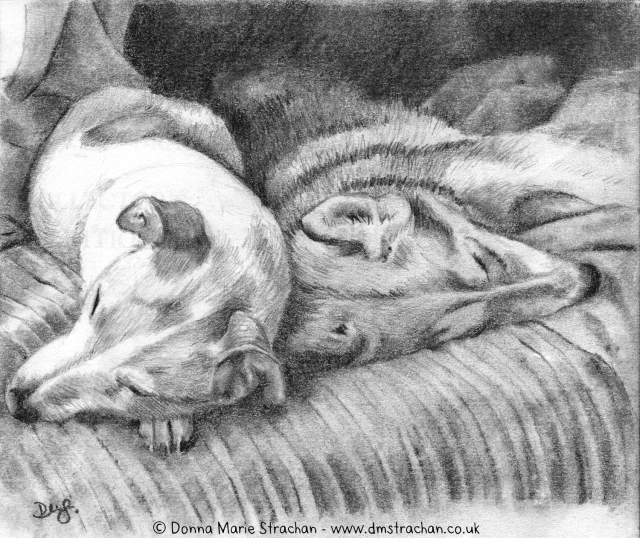 A pencil sketch of Sally the Jack Russell terrier and Misty my young husky. They are sharing a large cushion and both facing the viewer. Sally is lying upright with her head on a paw, while Misty lies on her side with her legs extended.