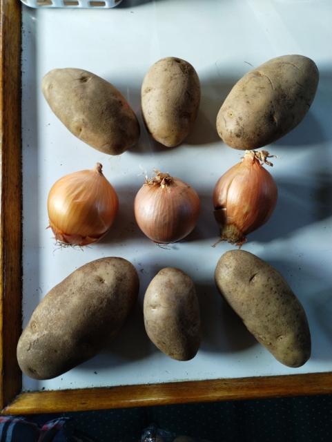 Six potatoes and three yellow onions laid out in the shape of the Merveilles logo (with four potatoes pointing outwards towards each corner, even), sitting on the dinette table of S/V Cloudy Day