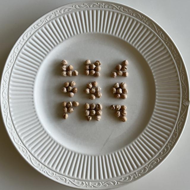 dried chickpeas arranged as a merveilles logo on a white plate