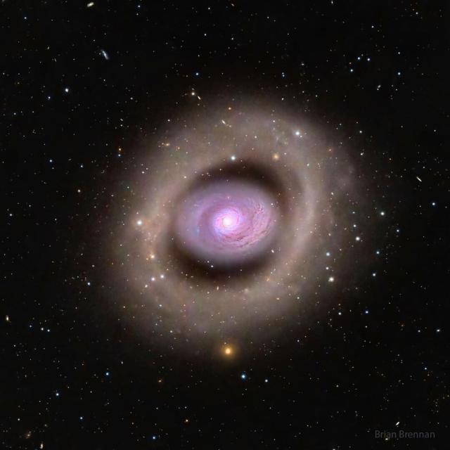 A spiral galaxy is seen in the image center with a distinct purple hue. The galaxy features a bright inner ring, but even outside of that appears another large ring. The outer rings appears light brown. Foreground stars are visible throughout the image.