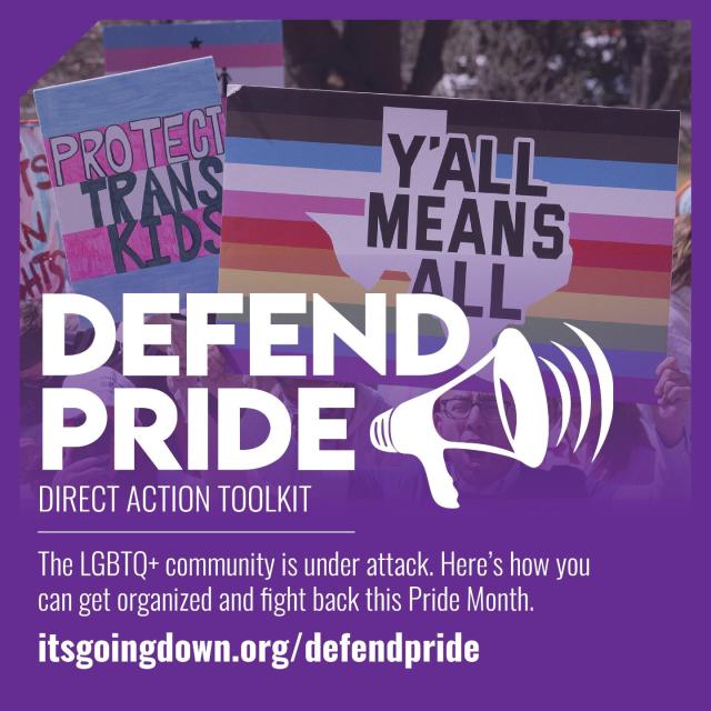 "Defend Pride, Direct Action Toolkit" 

itsgoingdown.org/defendpride