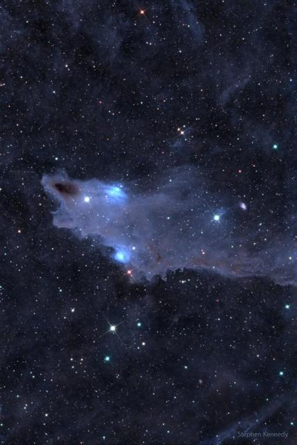 A dark brown cloud that appears similar to a shark is seen against a background filled with stars and less prominent blue-shaded nebulas.