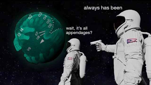 The astronaut gun meme except Earth is replaced by a spider embryo, with limb buds on its abdominal segments (from Pechmann 2020, link in post) and the first astronaut is asking "wait, it's all appendages?" and the second one is saying "always has been"