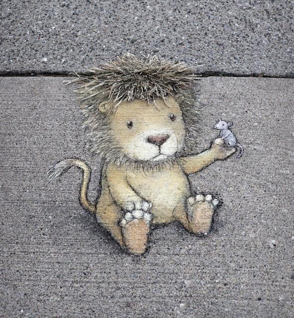 A lion and mouse in chalk by David Zinn
