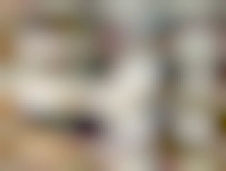 A cat sprawled on his back, surrounded by crumpled paper 