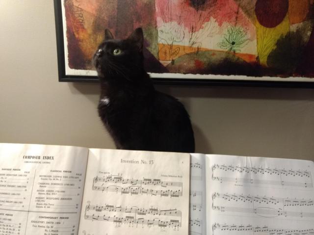 Black cat sitting on a piano looking up behind some sheet music