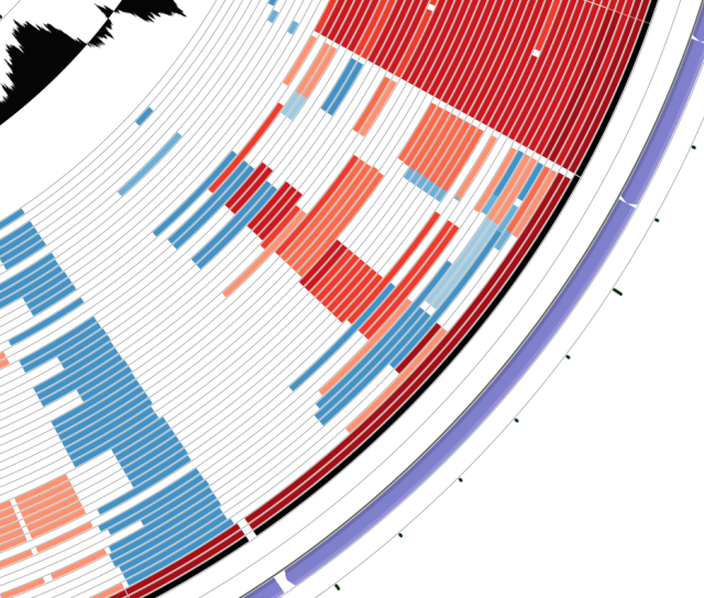 gene alignment ring of multiple genomes, showing partial alignments with varying IDs per gene