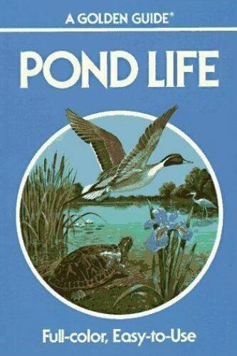 the cover art for the book "Pond Life". in the center there is a pond scene with a pintail duck, a turtle, a heron and some pond plants around a pond. 

top text: a golden guide pond life
bottom text: full-color, easy-to-use