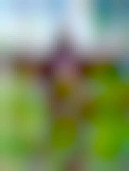 Duck tape steampunk suit