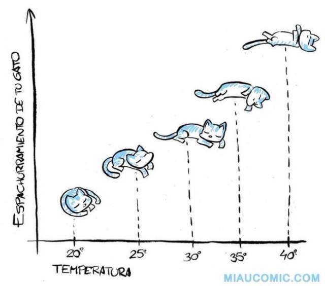 Una escala que ilustra la relación entre la postura del gato y la temperatura ambiente. Cuanto más estirado, más calor hace.