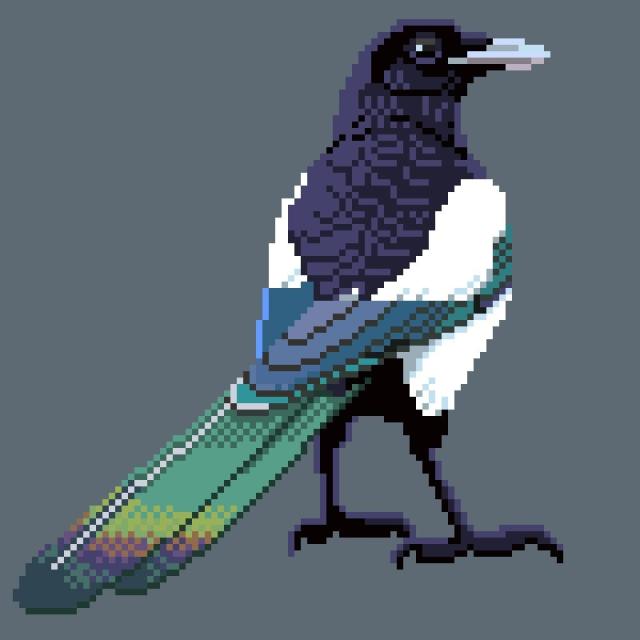Magpie, digitally pixeled showing off her tail feathers.