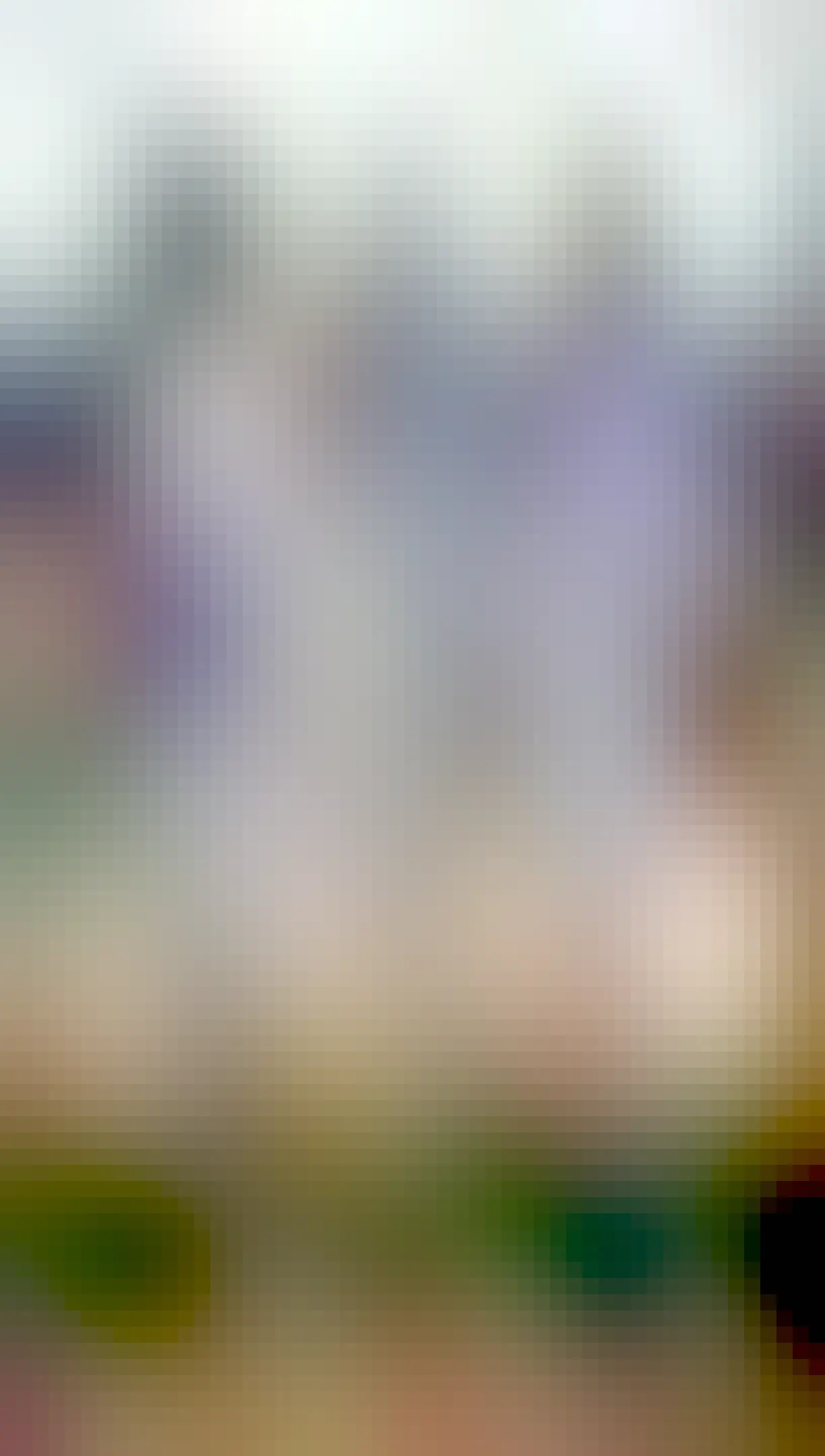 Another view of the bird feeder. On this side is draw a pot with a plan and a street sign that reads “Rue de la Porte rouge” (red door street)