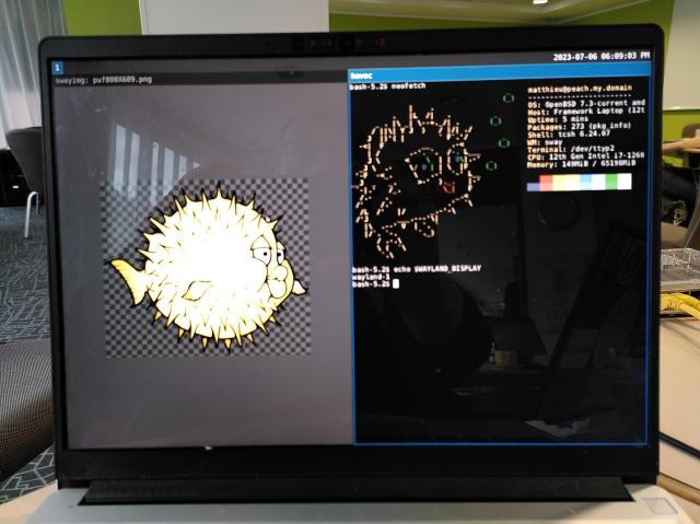 A picture of a laptop screen showing sway with 2 window open side by side: on the left an image viewer with a puffy image and on the right a terminal running the neofetch command.