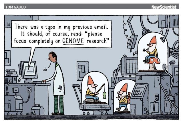 Cartoon by Tom Gauld depicting a lab scientist in a white coat, surrounded by garden gnomes in bell jars. He is reading a message on his computer that says: 

There was a typo in my previous email. It should, of course, read "please focus completely on GENOME research".