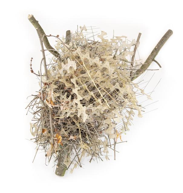 A bird's nest made of metal anti-bird spikes, against a white background.