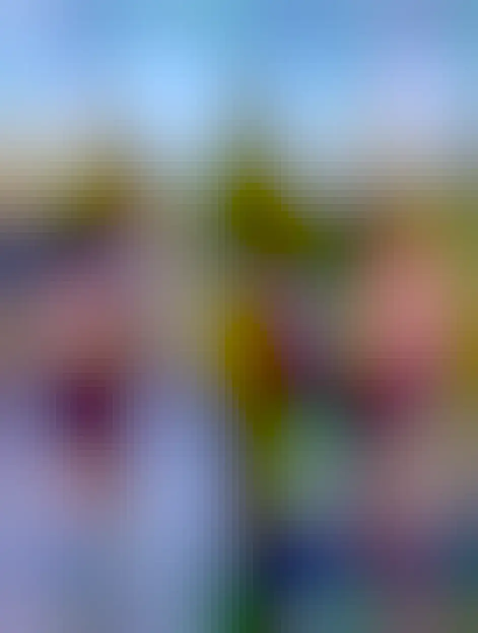 John Mastodon (sometimes referred to as "the Masto Don") and some random person