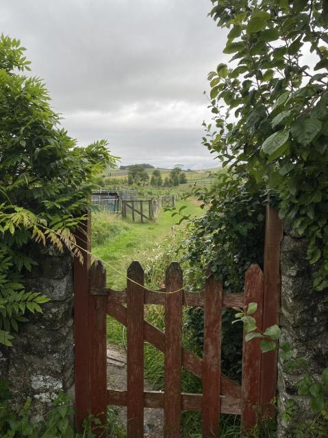 A red gate between two stone walls with a green field beyond and lush foliage on either side above broken grey skies rain and promise more rain.