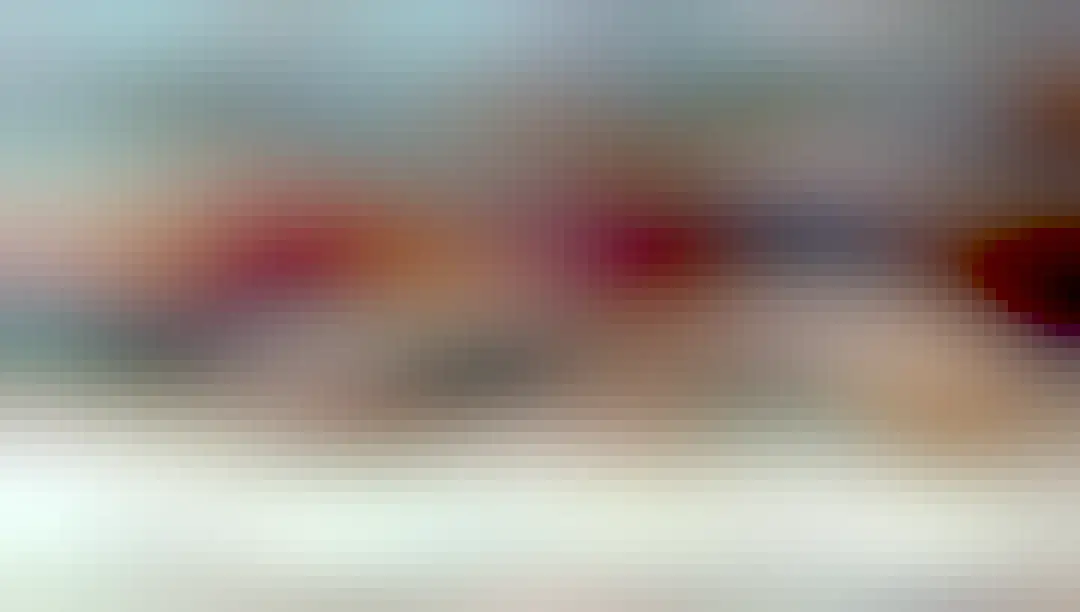 サビ猫（ほのか） 