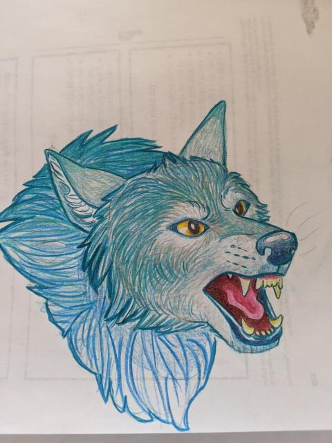 A colored pencil drawing of a wolf's face with mostly blue-green fur and yellow eyes. It looks angry and has its mouth is open, showing the fangs. 