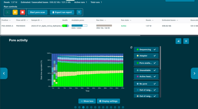 Pore activity plot for the sequencing run, demonstrating about 60-70% pore occupancy (fairly typical for this version of cDNA sequencing).