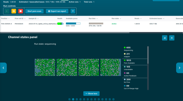 Channel states panel for the sequencing run, showing a speckled image that is mostly green and cream (sequencing / available), with a sprinkling of purple (active feedback). There is a local grouping of light blue (zero pore) states the left-hand side of the left-most channel region, suggesting a physical issue with the flow cell (e.g. a small bubble).