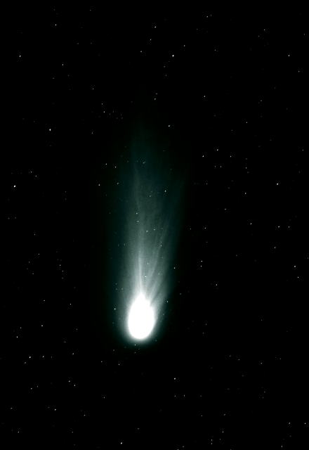 Halley's Comet in 1986.

ESO, CC BY 4.0, via Wikimedia Commons. Color edits.