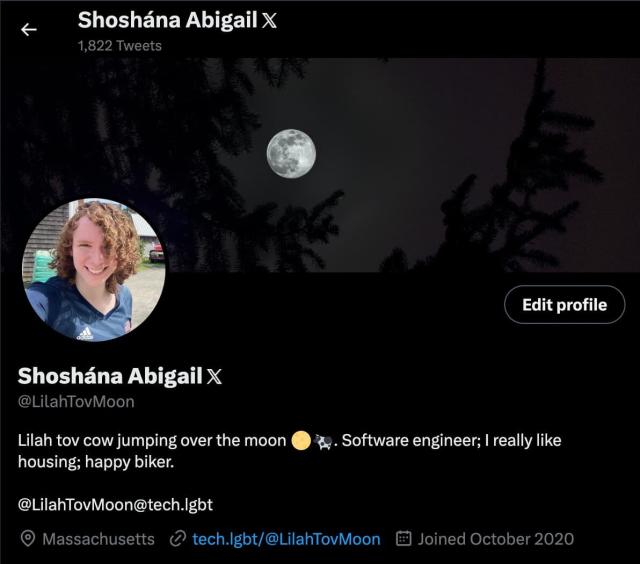 A screenshot of my Twitter/X profile showing a double-struck X next to my name, but without the muted grey box present for verified employees