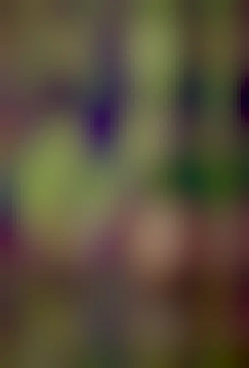 A bright green spiral aurora is seen in a break in the clouds before a purple background. The foreground contains green grassland and a circular lake.