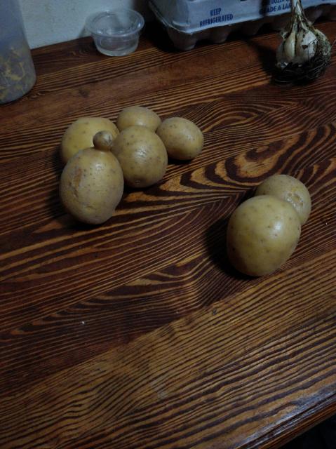 7 potatoes on a wood surface. One has a little, dare I say adorable, bud coming off the top which I think looks yeast. I tried to accentuate it by placing the potatoes in clusters.