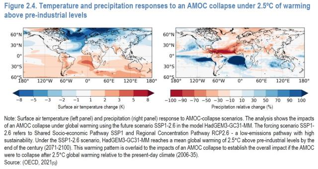 Maps showing the increase in temperature and decrease in precipitation specifically in Asia with the collapse of the Atlantic Meridional Overturning Current.