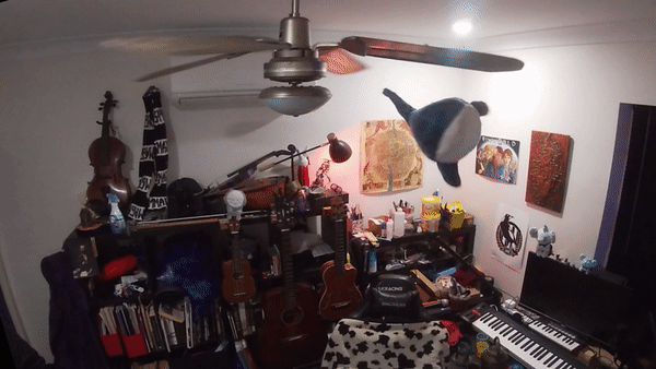 a plush blue shark (blahaj) spinning around attached to fan