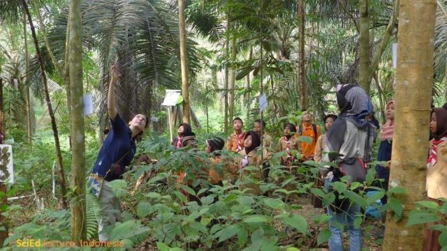 Crara Zemp,  Assistant Professor and head of the Conservation Biology Lab at the university of Neuchâtel and one of the co-founders of the non-profit organisation Lecturers Without Borders, gives a lecture on biodiversity conservation in a rainforest in Indonesia, to students from a local school. There are several children looking and a teacher listening to her talk.