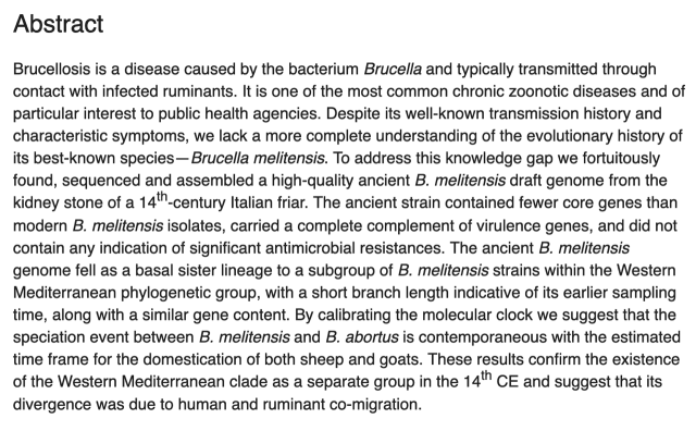 Abstract

Brucellosis is a disease caused by the bacterium Brucella and typically transmitted through contact with infected ruminants. It is one of the most common chronic zoonotic diseases and of particular interest to public health agencies. Despite its well-known transmission history and characteristic symptoms, we lack a more complete understanding of the evolutionary history of its best-known species—Brucella melitensis. To address this knowledge gap we fortuitously found, sequenced and assembled a high-quality ancient B. melitensis draft genome from the kidney stone of a 14th-century Italian friar. The ancient strain contained fewer core genes than modern B. melitensis isolates, carried a complete complement of virulence genes, and did not contain any indication of significant antimicrobial resistances. The ancient B. melitensis genome fell as a basal sister lineage to a subgroup of B. melitensis strains within the Western Mediterranean phylogenetic group, with a short branch length indicative of its earlier sampling time, along with a similar gene content. By calibrating the molecular clock we suggest that the speciation event between B. melitensis and B. abortus is contemporaneous with the estimated time frame for the domestication of both sheep and goats. These results confirm the existence of the Western Mediterranean clade as a separate group in the 14th CE and suggest that its divergence was due to human and ruminant co-migration.
