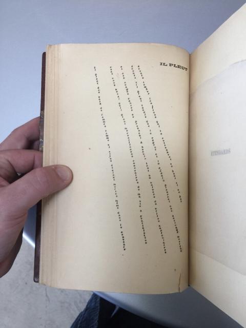 French language visual poem Il Pleut with the letters of the poem forming the visual shape of lines of rain