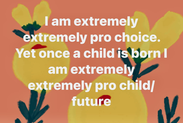 On a field of yellow, poppies and peach background, the words, I am extremely extremely pro choice yet once Child is born, I am extremely extremely pro child/future future