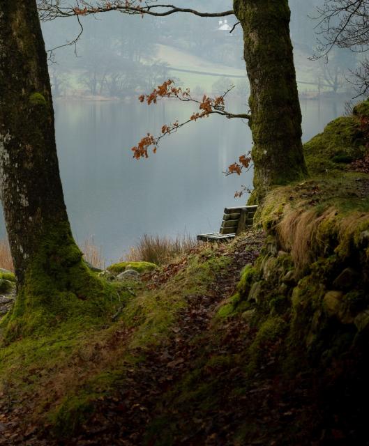 The edge of a wooden bench can be seen between two trees in front of a calm lake. The weather is calm and slightly misty.