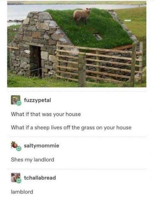 lamblord