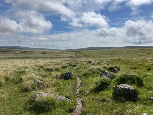 View over a wide uninterrupted expanse of rough moorland grass. In the middle of the foreground the worn line of a path - peaty-brown earth - runs between a scattering of boulders. The route stretches on into the distance as a brighter green line of short grass against the pale yellow-green long grasses of the plateau. The path seems to go forever on. In the far distance the moor rises up further as darker green hills with isolated weathered rocks or ‘tors’ showing on the horizon. The landscape may seem bleak & desolate, but it is also beautiful. The sky is blue with fluffy white clouds.