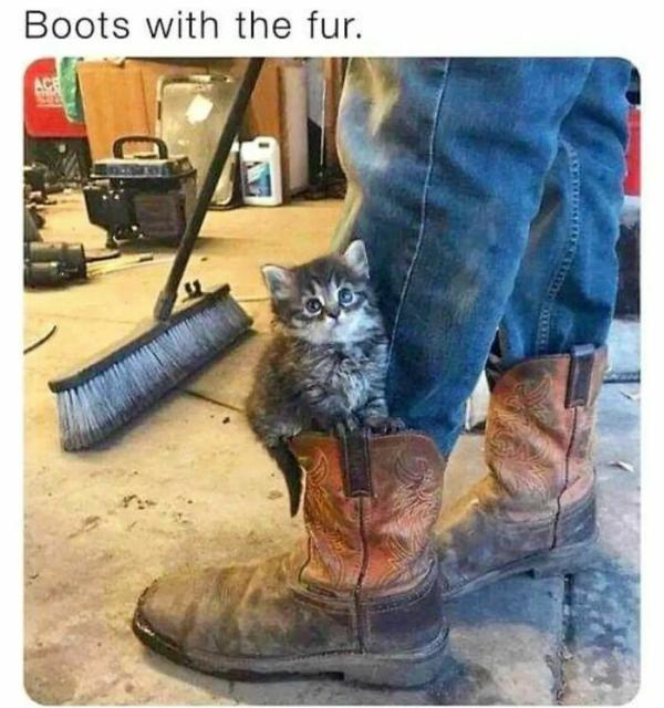 fur boots