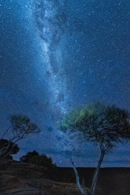 "Gorgeous milky way shot with a grass tree which is unique to Australia."

Stan Feldman, CC BY-SA 4.0, via Wikimedia Commons.