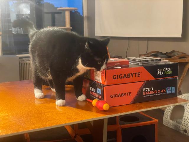 my cat trying to throw computer components off the table