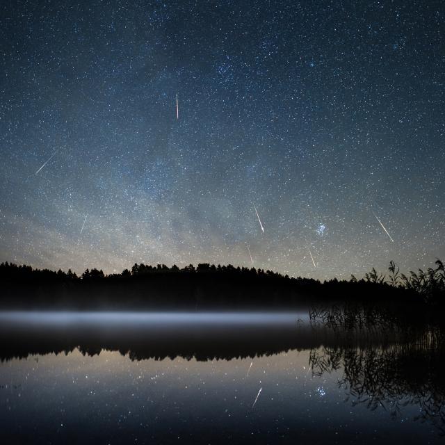 "Perseids 2016."

Arnas Goldberg, CC BY 3.0, via Wikimedia Commons.