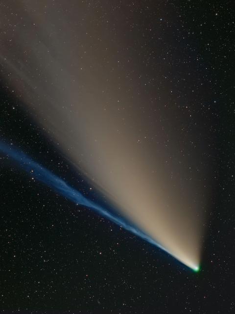 "Second place in the 2021 IAU OAE Astrophotography Contest, category Comets: Comet C/2020F3 (Neowise) with separate dust and ion gas tails and a green glowing coma, by Dietmar Gutermuth, Germany."

Dieter Gutermuth/IAU OAE, CC BY 4.0, via Wikimedia Commons.