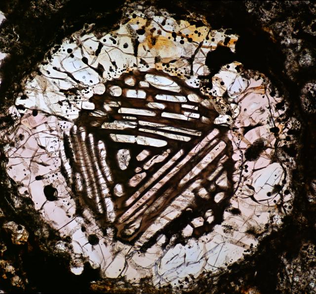"Chondrule in the Dar al Gani 1040 Meteorite Thin Section."

Solar Anamnesis, CC BY-NC-ND 2.0 via Flickr: https://flic.kr/p/2gnib9W