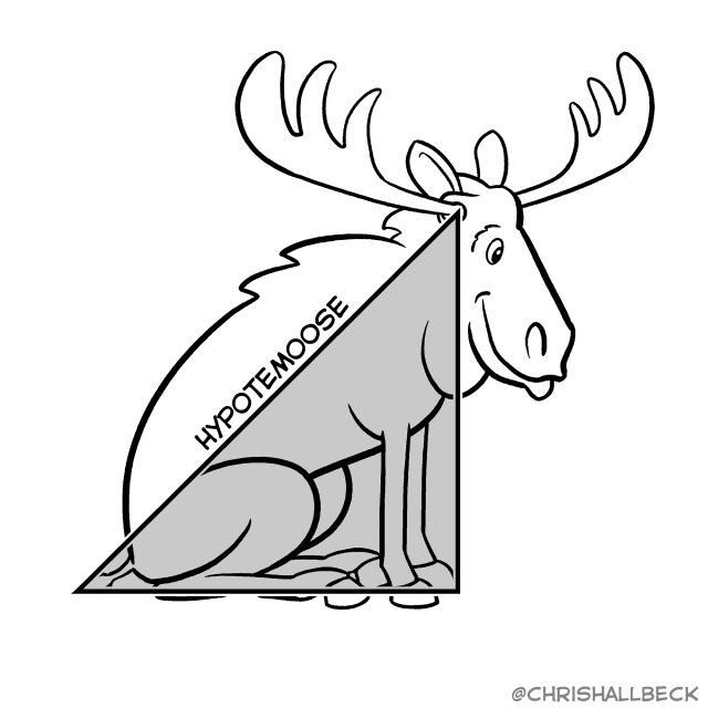 A right angle triangle overlaid on a moose and the long edge is labeled “Hypotemoose”.
