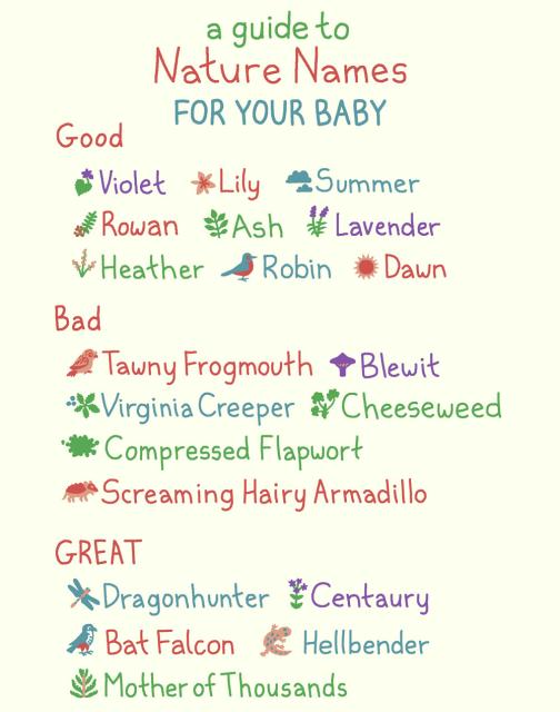 A list titled "A Guide to Nature Names For Your Baby". Under a section labeled "Good" are the names Violet, Lily, Summer, Rowan, Ash, Lavender, Heather, Robin, and Dawn. Under a section labeled "Bad" are the names Tawny Frogmouth, Blewit, Virgnia Creeper, Cheeseweed, Compressed Flapwort, and Screaming Hairy Armadillo. Under a section labeled "Great" are the names Dragonhunter, Centaury, Bat Falcon, Hellbender, and Mother of Thousands.