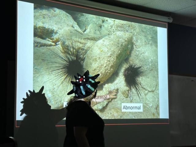 Woman (me) standing in front of a PowerPoint slide on a projector showing healthy versus abnormal urchins. I’m wearing an amazing Diadema setosum beanie (yes, that’s an anal pore on the top of my head). The shadow points out the urchin spines on the beanie 