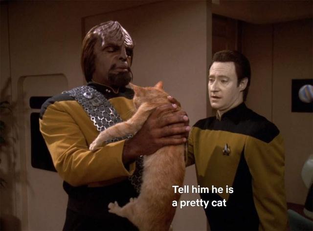 Data and Worf are in quarters. Data looks v concerned as he stands next Worf who is awkwardly holding a cat by its cat armpits. Worf's hands are huge in comparison, and It looks like he is not a big fan of cats. Closed caption reads, "Tell him he is a pretty cat."